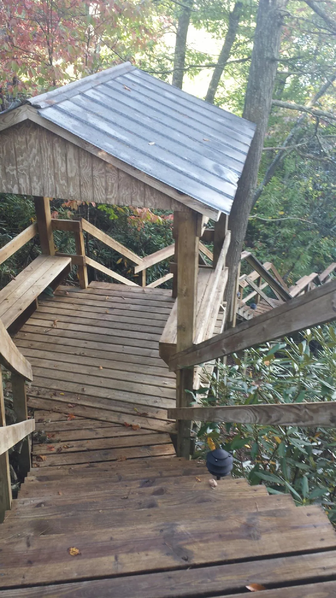 Metal roofed shelter over wooden steps on a wooded walkway — Skylight Repair & Installation work by our crew in Carriere
